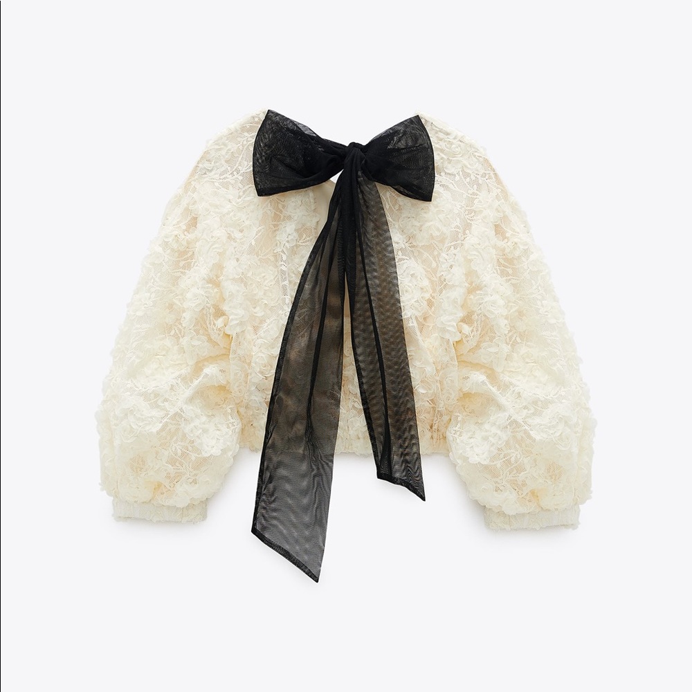 NWT Zara Organza Lace Shirt - Picture 2 of 11